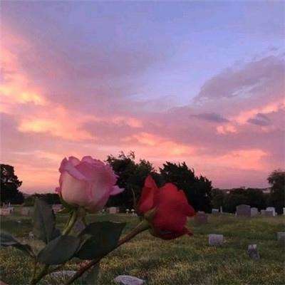 A股收盘:三大指数均跌超1%