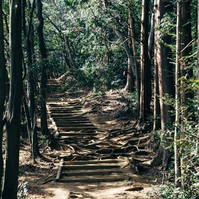 深圳市泓荣盛电子科技｜电池防爆...